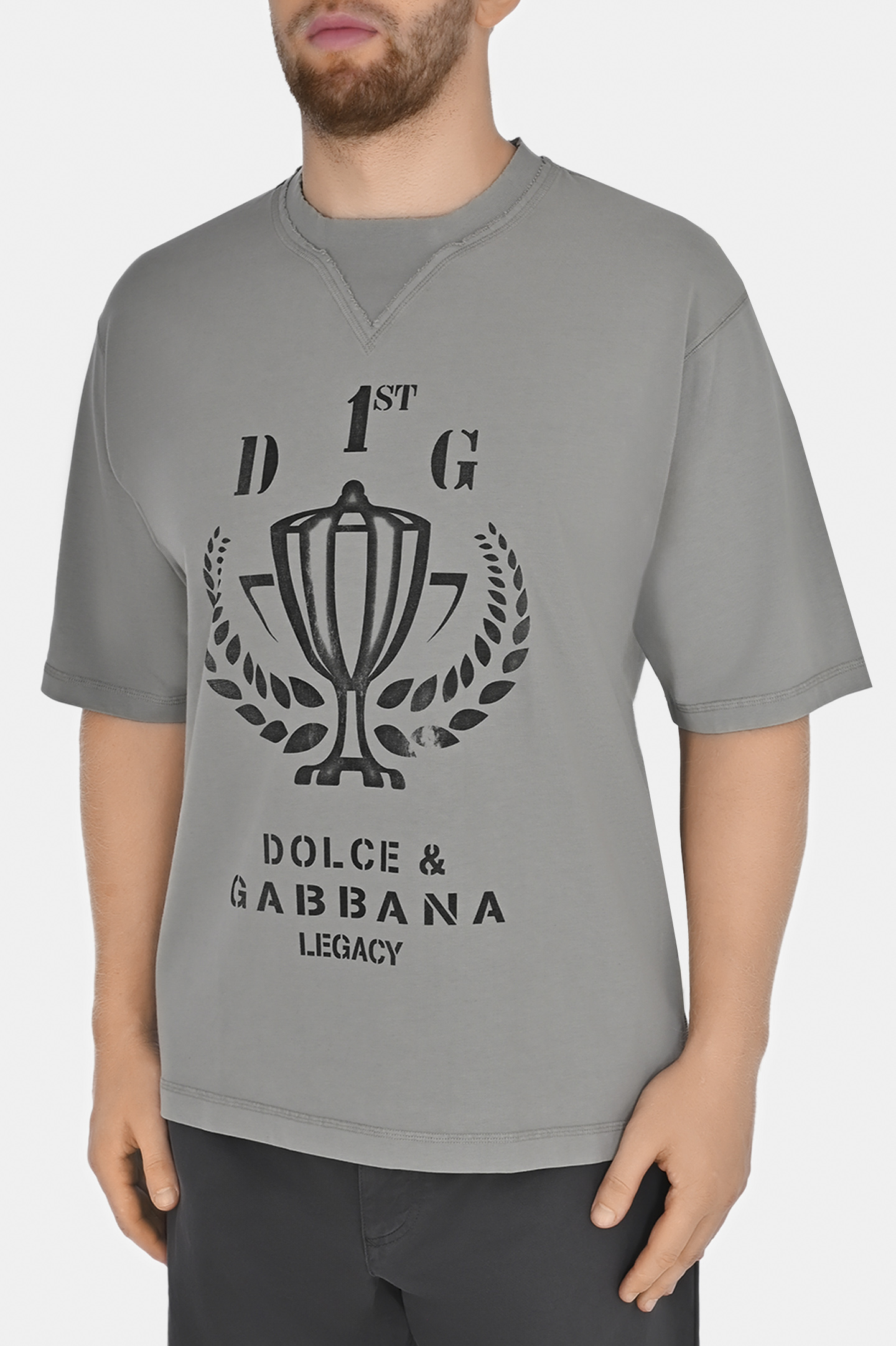 Футболка с принтом DOLCE & GABBANA G8QR6T G7NTA, цвет: Серый, Мужской