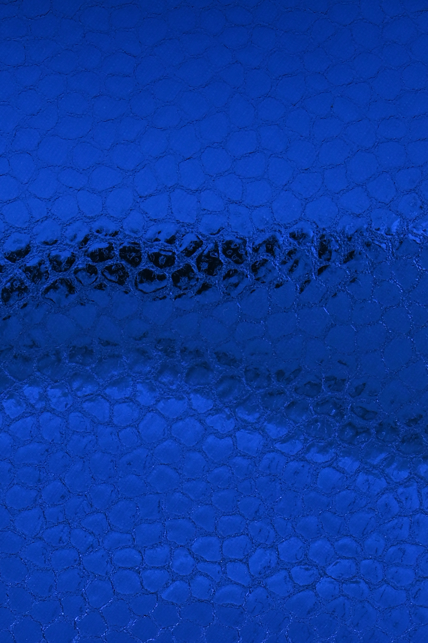 Сумка BY FAR 23CRRCLSBUFLGMED, цвет: Синий, Женский