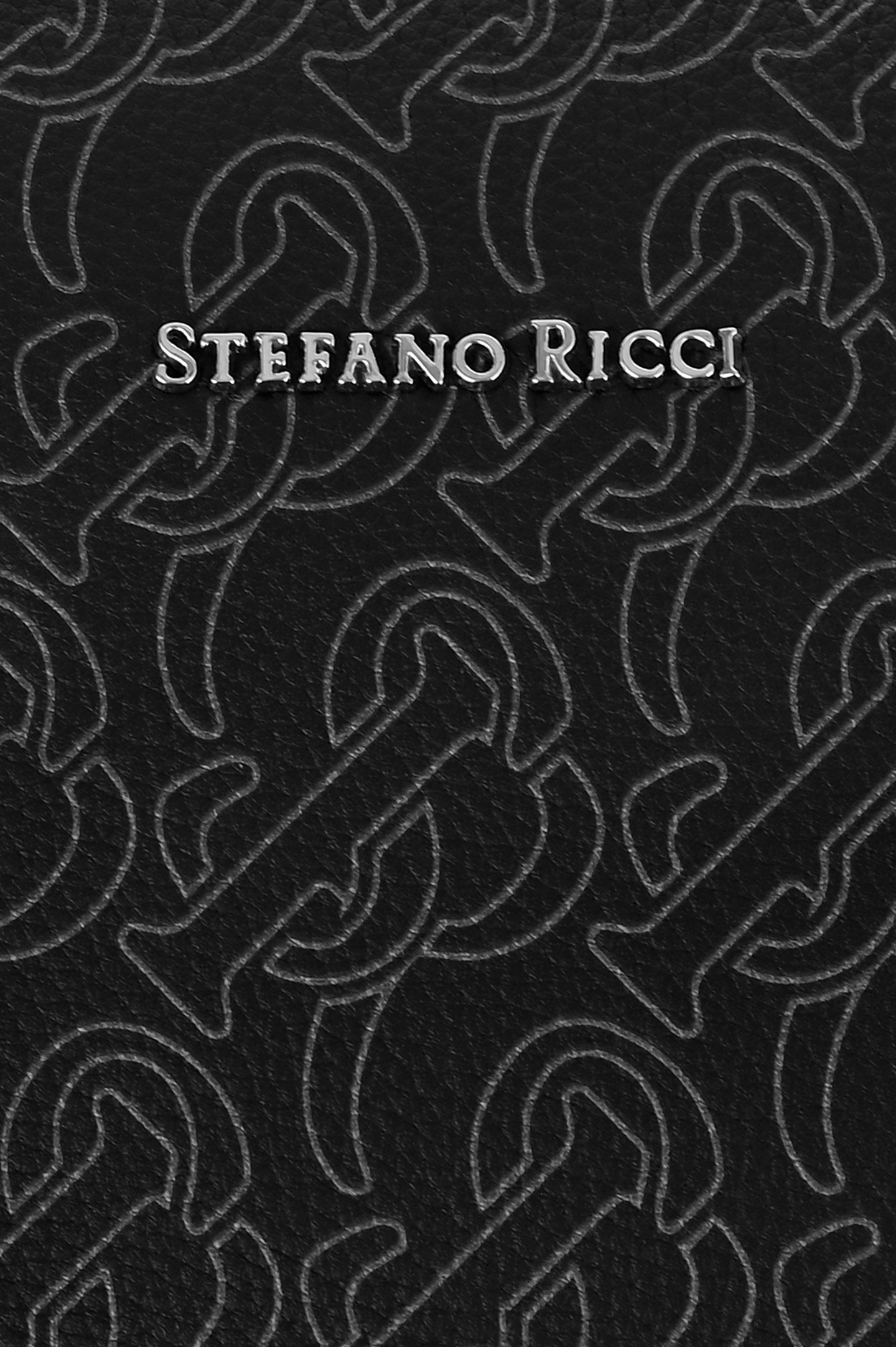 Кожаная сумка для документом с логотипом STEFANO RICCI PP428G9P MRVHS, цвет: Черный, Мужской